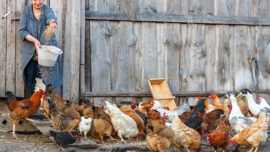 Kopuni postali preskupi za hrvatske stolove