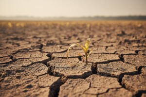 Korak do elementarne nepogode zbog suše