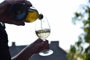 Vinarija koju čuva sv. Elizabeta i u kojoj se proizvodi vino njoj u čast