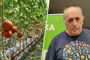 Korado Korlević: Budućnost poljoprivrede je u hidroponskoj proizvodnji