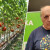Korado Korlević: Budućnost poljoprivrede je u hidroponskoj proizvodnji