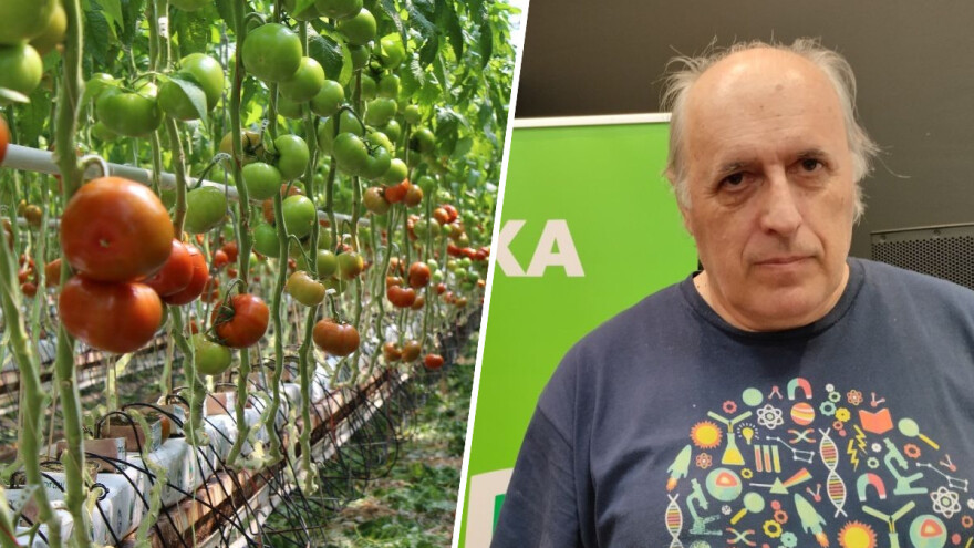 Korado Korlević: Budućnost poljoprivrede je u hidroponskoj proizvodnji