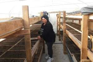 Kornišoni su čista zarada: Ujutro osvaneš, navečer omrkneš u plasteniku, ali se isplati
