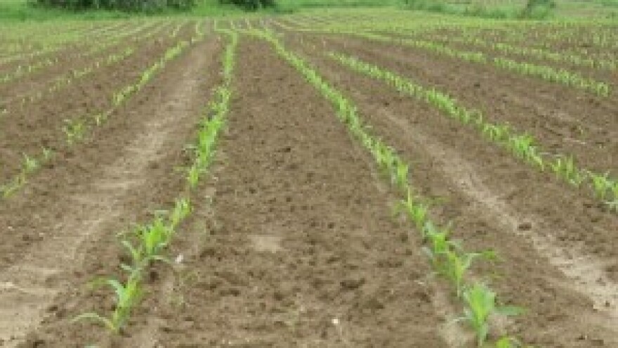 Herbicid produženog djelovanja