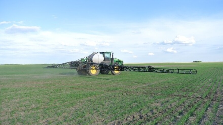 Kada krenuti sa suzbijanjem korova u žitaricama?