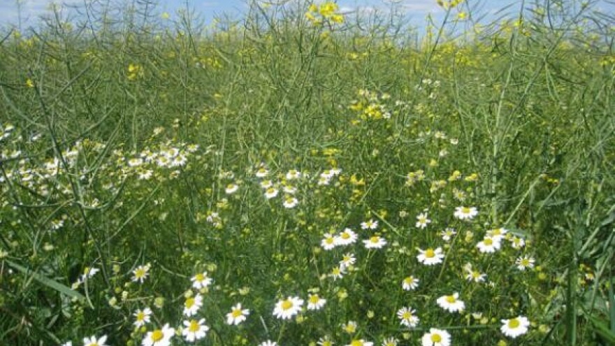 Sumljiva kvaliteta zaštitnih sredstava