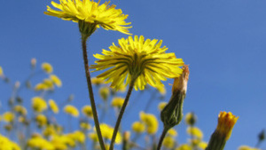 Na udaru će biti mali ljudi kojima se obrada zemlje ne isplati