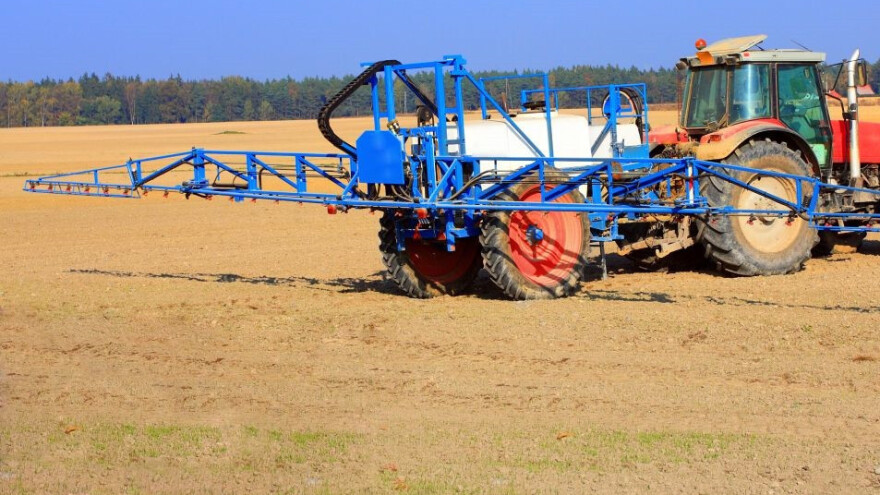 Suzbijte korove nakon sjetve uljane repice