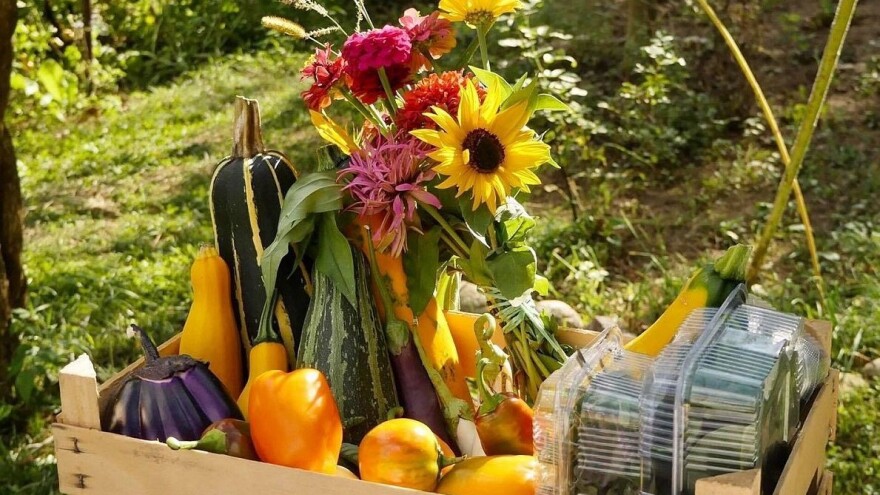 Sve prednosti spoja organskog uzgoja, biodinamike i permakulture u bašti