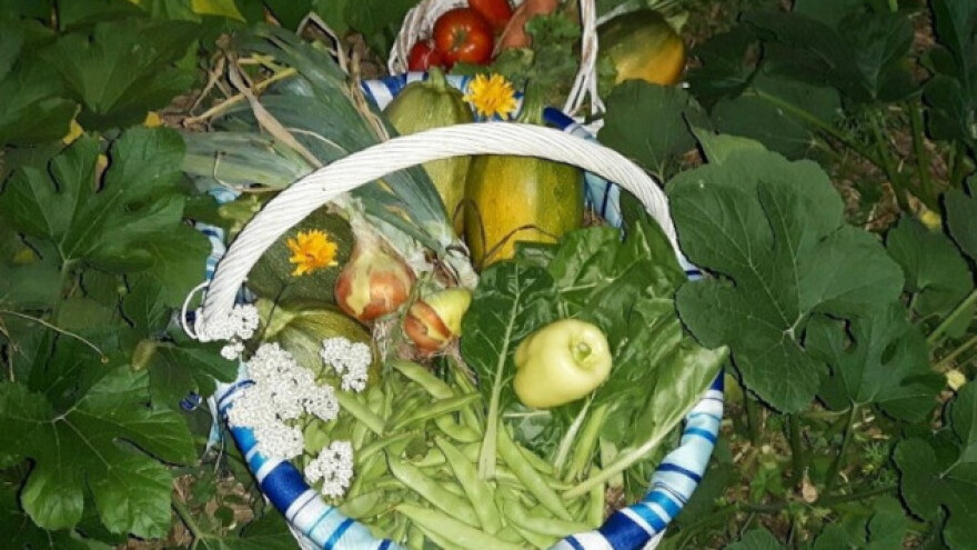 Tajne uspješnog vikend vrtlarenja