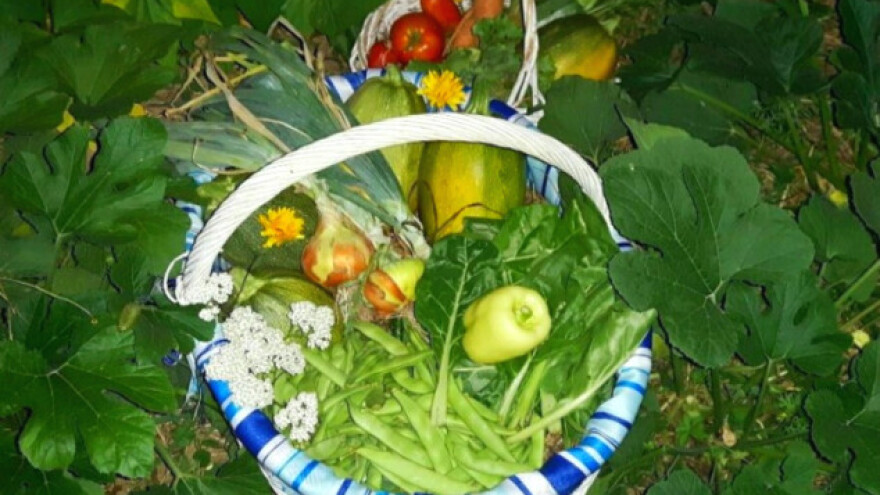 Tajne uspešnog vikend baštovanstva