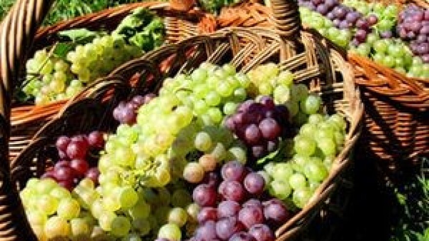 8. Velika martinjska špelancija - Đurđevac