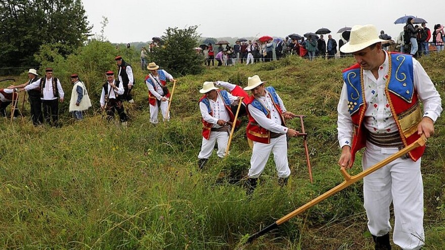 Održana 47. kosidba na Rajcu - učesnika bilo iz čitavog sveta