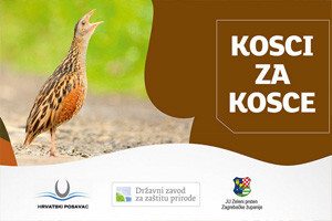 Tradicionalna manifestacija "Kosci za kosce"