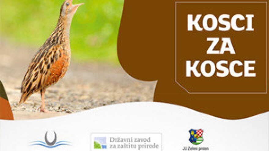 Tradicionalna manifestacija "Kosci za kosce"