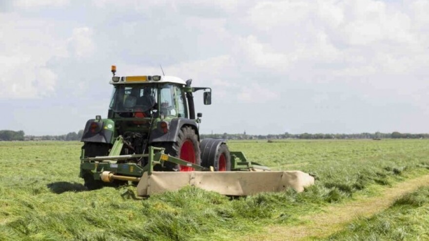 Zašto je važan prvi otkos lucerne?