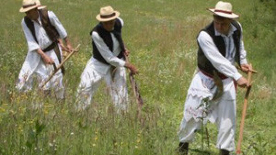 Natjecanje u košnji ručnom kosom