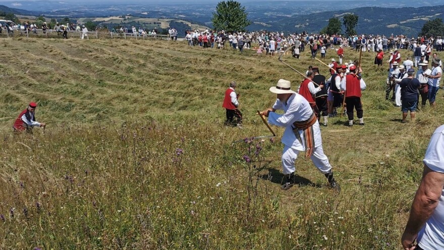 Kosidba na Rajcu: Ko je ove godine odneo titulu đidije?