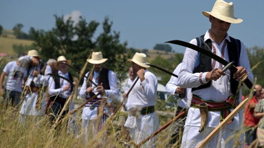 Zlatna kosa za najboljeg kosca: Kosidba na Rajcu od 18. do 20. jula