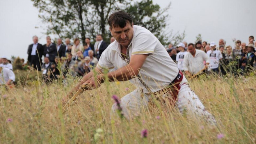 Kosidba na Rajcu sredinom jula