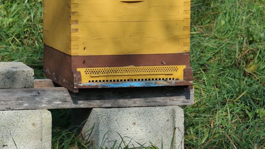 Radovi u pčelinjaku u oktobru