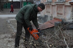 Sječom bagrema pčelaru nanio veliku štetu