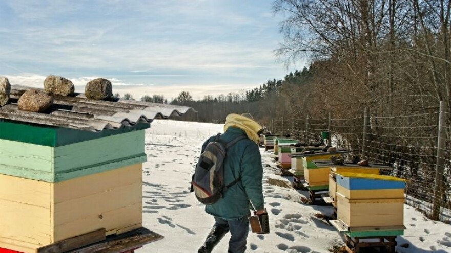 Uzimljavanje pčelinjih zajednica