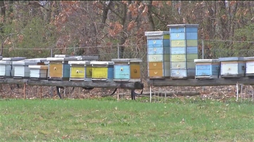 Zabrana kretanja: Stanje još uvek nije kritično, ali pčelari nestrpljivi