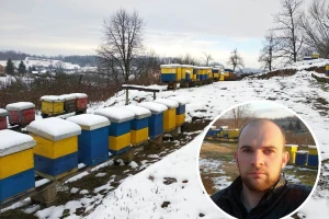 Mladi stručnjak za pčele razvio svoju metodologiju rada