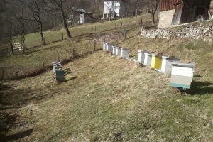 Naš med tražen u arapskim zemljama, stalni kupci mu se uvijek vrate