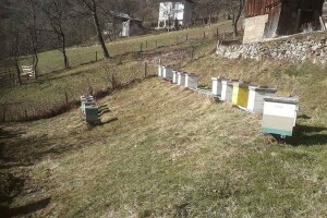 Naš med tražen u arapskim zemljama, stalni kupci mu se uvijek vrate
