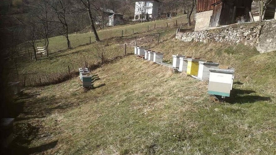 Naš med tražen u arapskim zemljama, stalni kupci mu se uvijek vrate