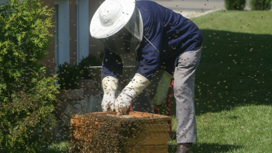 Dvojac priveden zbog krađe sedam košnica