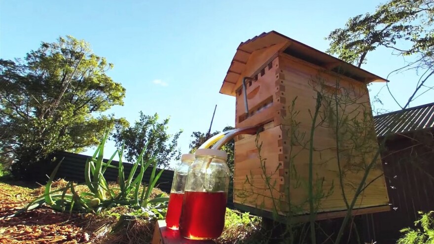 Osmislili košnice sa slavinom iz kojih med teče izravno u teglice