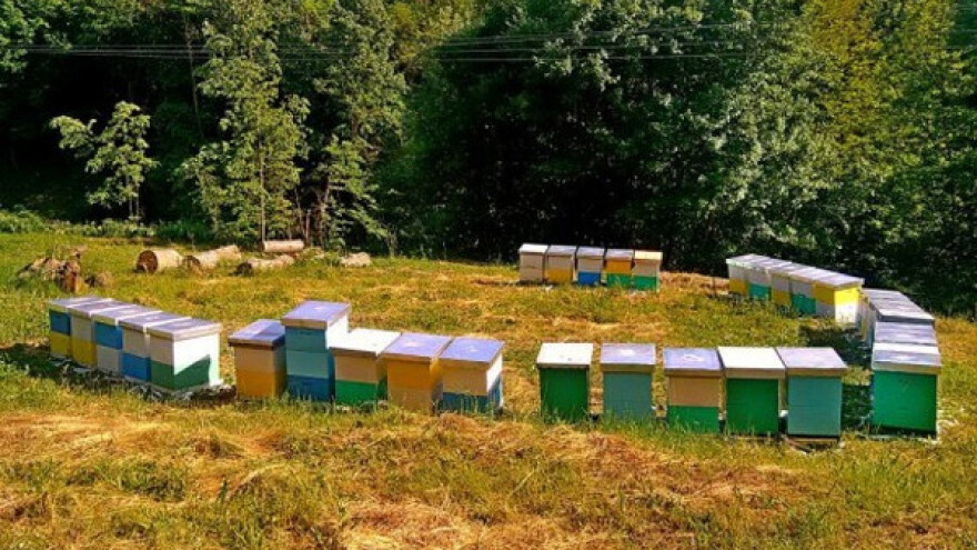 Apel pčelarima povodom zaprašivanja komaraca