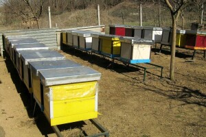 Krađa košnica - kako ju može spriječiti savremena tehnologija