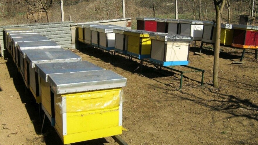 Krađa košnica - kako ju može spriječiti savremena tehnologija