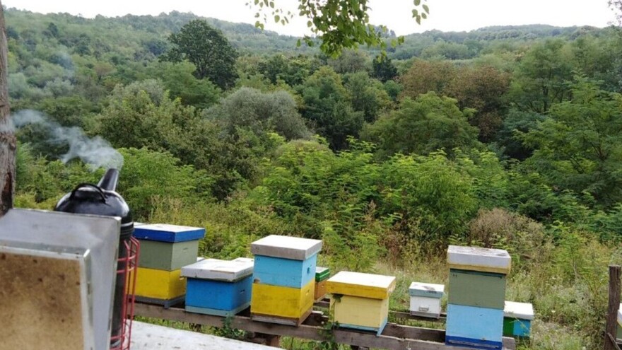 Napravili brend od proizvodnje meda sa organskom aronijom