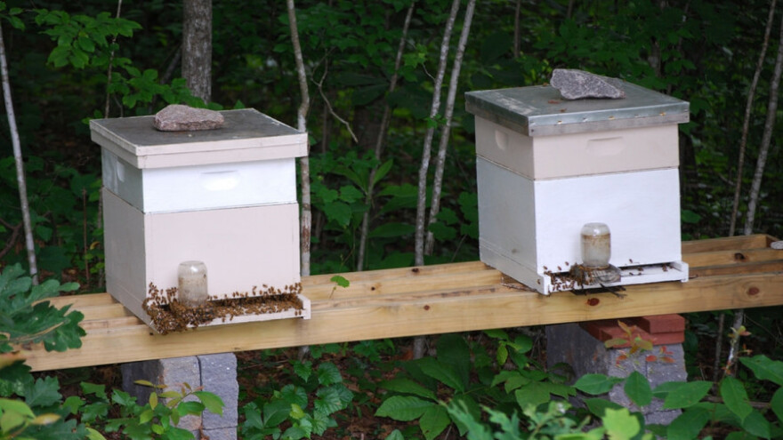 Pčelarska zadruga za savremenu proizvodnju