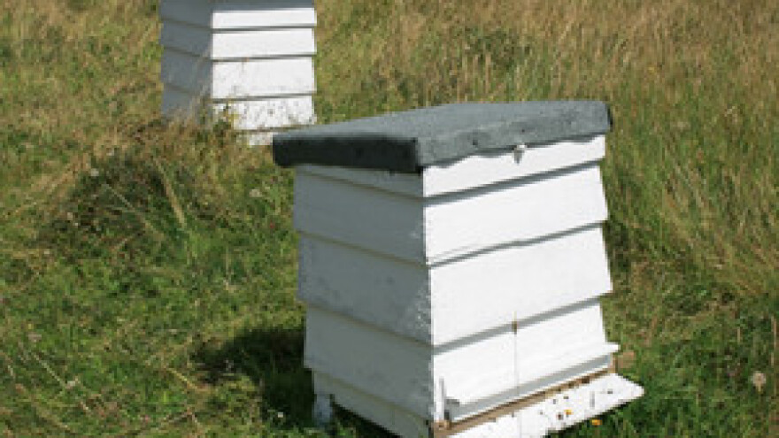 I najslađi biznis u problemima