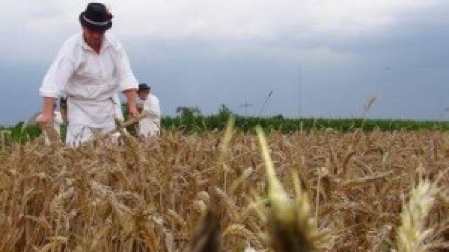 Manifestacija "Kosci za kosce"