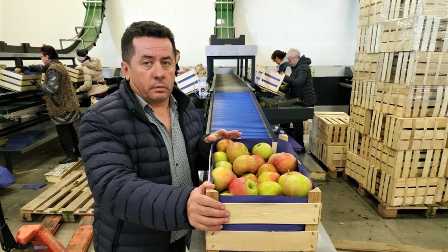 Nikola Kotarac: Lanac dugovanja "guši" voćarstvo u Novom Slankamenu