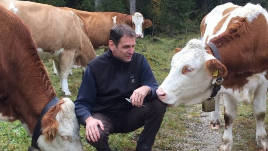 Evo zašto se događa egzodus ljudi sa sela