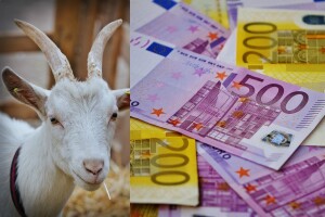 Koza pojela 20.000 eura?