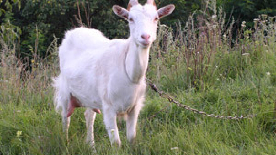 Lepoglava poljoprivrednicima baca pojas za spašavanje