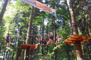 Rekordna posjeta: NP Kozara u 2018. posjetilo 130.000 turista