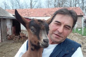 Domaću kozu zamijenile francuske Alpine