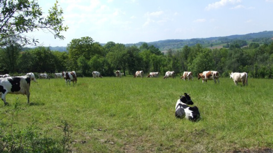 Zaštita biodiverziteta uz rijeku Savu