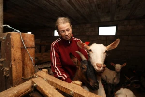 Samo da prežive zimu: Vlasnica moli dobre ljude, ako možete donirajte hranu za koze