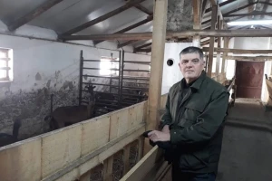 Penzionisani novinar i urednik u Nikincima uzgaja koze